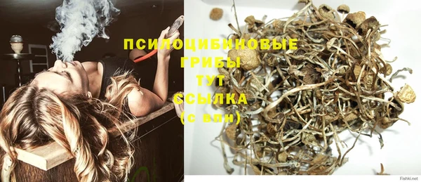 гидра Балабаново